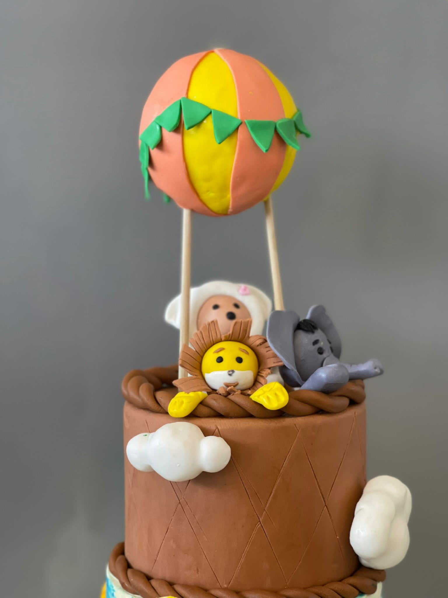 Jungle Hot air balloon 2